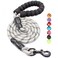 BAAPET 2456 FT Dog Leash with Comfortable Padded Handle and Highly Reflective Threads for Small Medium and Large Dogs 5FT12 Silver