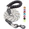 BAAPET 2456 FT Dog Leash with Comfortable Padded Handle and Highly Reflective Threads for Small Medium and Large Dogs 5FT12 Silver