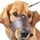 BARKLESS Soft Leather Dog Muzzle for Large Dogs Secure AntiBarking