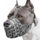 Mayerzon Pitbull Dog Muzzle for Large Medium Dogs Prevent Biting Scavenging