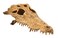 Exo Terra Crocodile Skull Terrarium D