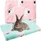 Jetec 2 Pcs Guinea Pig Beds Rabbit Bed Mats Green Pink Bear Pattern