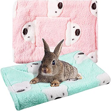 Jetec 2 Pcs Guinea Pig Beds Rabbit Bed Mats Green Pink Bear Pattern