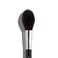 Sigma Beauty Sigma F37 Spotlight Duster