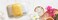 Melaleuca Pineapple Mango Body Bar
