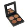 Graftobian Vitale Shimmer Bronzer Palette