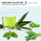 MOP Revitalizing Shampoo Basil Mint 845 Fl Oz