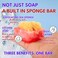 Primal Elements Aloha SpongeBar Soap Pack of 2