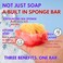 Primal Elements Aloha SpongeBar Soap Pack of 2