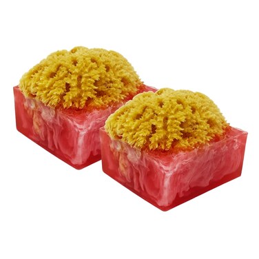 Primal Elements Aloha SpongeBar Soap Pack of 2