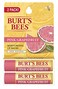 Burt's Bees Pink Grapefruit Moisturizing Lip Balm Twin Pack