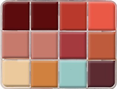 Skin Illustrator PPI On Set Complexion Makeup Palette