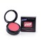 Graftobian Pressed Powder Blush Compacts Blushing Bride