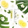 Seraphine Botanicals Sugar Lemon Moisturizing Lip Buffer