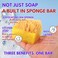 Primal Elements Tahitian Vanilla SpongeBar Soap Pack of 2