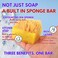 Primal Elements Tahitian Vanilla SpongeBar Soap Pack of 2
