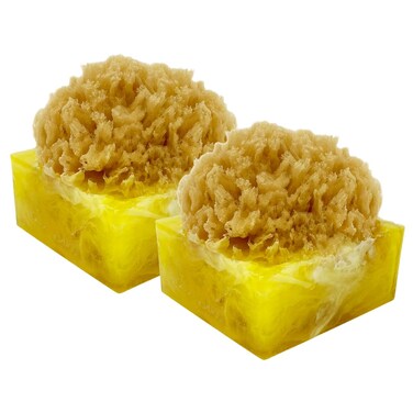 Primal Elements Tahitian Vanilla SpongeBar Soap Pack of 2