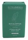 Sunaroma Soap Bar Eucalyptus Tea Tree Ginger 8 Ounce Pack of 6