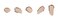 jane iredale PurePressed Base SPF 20 Refill Honey Bronze 035 oz
