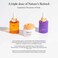 Ogee Natural Retinol Trio Botanical Eye Balm Bakuchiol 2 Elixir Retinal Extract 1 Elixir