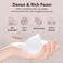 Purederm Deep Purifying Black O2 Bubble Mask Volcanic 10 Pack Bubble Face Sheet Mask for Purifying Deep Cleansing
