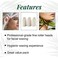 CleanEasy Clean Easy Fine Line Wax Roller Heads Roll On Wax Applicator for Precise Hair Removal on Face Brows Upper Lip 3 Pack