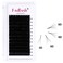 FADLASH Easy Fan Lashes 005 007mm Volume Eyelash Extensions CDDD Curl Easy Fanning Volume Lashes Extensions 820mm 005C 14mm
