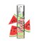 Lip Smacker Rolly Lip Gloss, Classic Roller-Ball Design for a Cooling Sensation, HydratingMoisturizing Shine - Watermelon