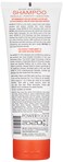 POWERTOOLS 4BOND Bond Building Shampoo Restore Damaged Hair Contains Advanced Polymers Keratin Baobab Quinoa Proteins 8 Fl Oz