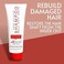 POWERTOOLS 4BOND Bond Building Shampoo Restore Damaged Hair Contains Advanced Polymers Keratin Baobab Quinoa Proteins 8 Fl Oz