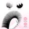 TDANCE Classic Lash Extensions Flat Lashes Eyelash Extensions 015mm D Curl Ellipse Eyelash Extensions 13mm Mixed Black Matte Individual Lashes Salon UseFlatD01513mm