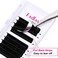 FADLASH Volume Lash Extensions 3D10D Any Fans 005 007mm Self Fanning Eyelash Extensions C D DD Curl Easy Fanning Volume Lashes Automatic Blooming 820mm by 005C 13mm