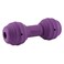 PetSafe Busy Buddy Chuckle MediumLarge