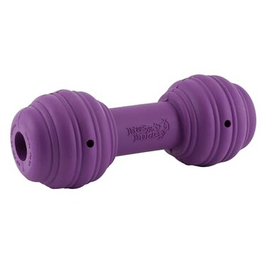 PetSafe Busy Buddy Chuckle MediumLarge