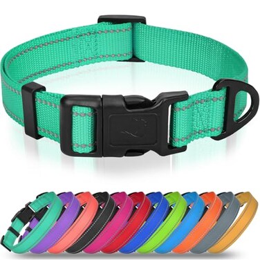Joytale Small Dog Collar Durable DoubleSided Reflective Nylon Collar for Night Safety Adjustable QuickRelease for Active Breeds Teal S 34 Width
