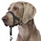 BARKLESS Sturdy No Pull Head Collar for Medium Large Dogs Gentle Reflective Head Halter with Safety Link Adjustable Nylon Dog Training Muzzle Leash for Walking Control Black XL