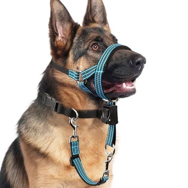BARKLESS No Pull Dog Head Collar for Gentle Training Walking Soft Padded Head Halter with Collar Safety Clip Comfortable Fit Muzzle Leash with Reflective Strap for Medium Large Dog Blue L