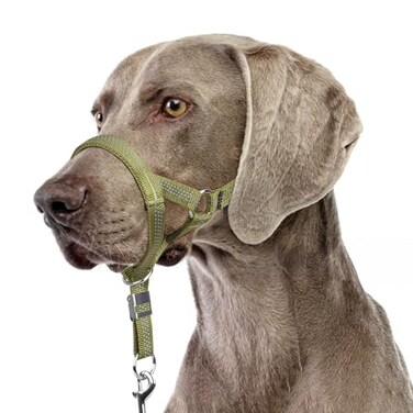 BARKLESS Sturdy No Pull Head Collar for Medium Large Dogs Gentle Reflective Head Halter with Safety Link Adjustable Nylon Dog Training Muzzle Leash for Walking Control Green L