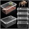 Harhana Small Jumping Spider Enclosure 6 Pack Spider Terrariums Breeding Box Transparent Hatching Container Plastic Feeding Box 6 Pcs Super Mini