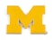 Aminco NCAA Michigan Wolverines Team Logo Pin