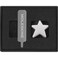 Moleskine Pin Star Silver