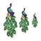 Opexicos 3Pcs Bird Peacock Sequin Beauty Embroidery Applique Patch Sew On