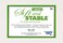 Annie Soft and Stable White 100 Polyester Stabilizer 36in x 58in