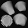 BAOFALI 50 Pack Flat Shaker Covers for Card Making Square Round Flat Shaker Covers for Shaker Cards Making Plastic Transparent Shaker Creator Acetate Sheets Arts Crafts Projects DIYScrapbooking Suppli
