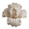 GRAINRAIN Soap Molds Silicone Soap Making Molds Craft Molds Resin Mold 3D Flowers 14167