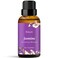 ESSLUX Jasmine Essential Oil ESSSLUX Aromatherapy Oils for Diffuser Massage Soap Candle Making Perfume 30 ml