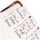 Idyllic Grace Bible Tabs Bronze Foil Letting Bible Journaling Study Tool New And Old Testament Christian Catholic Apocrypha 90 Tabs Indexing Tabs Glossy Laminated Durable Creamsicle