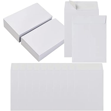 100 Pack Seed Envelopes Selfadhesive Small Coin Envelopes Seed Storage Packets For Garden Office Or Wedding Gift White 3 14 4 12 Inches