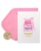 Papyrus Blank Cards With Envelopes Stack Of Macarons 14Count