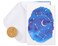 Papyrus Blank Cards With Envelopes Constellation 14Count